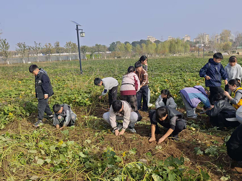 秋日研學(xué)正當時：解鎖孩子的綜合成長密碼